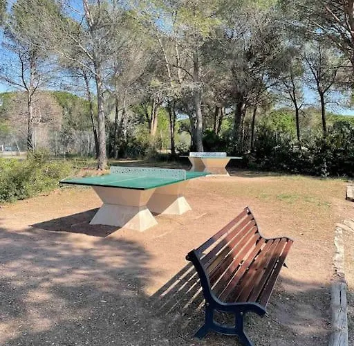 Vu Sur Piscine Lägenhet Saint-Raphaël